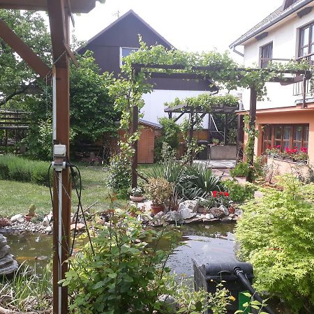Pension Zeleny Strom Mikulov Bagian luar foto