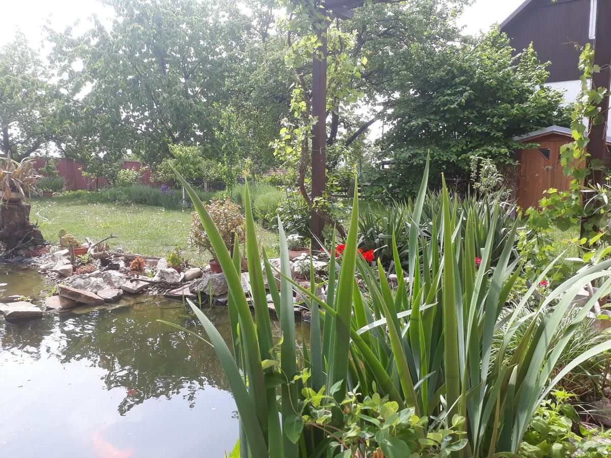 Pension Zeleny Strom Mikulov Bagian luar foto