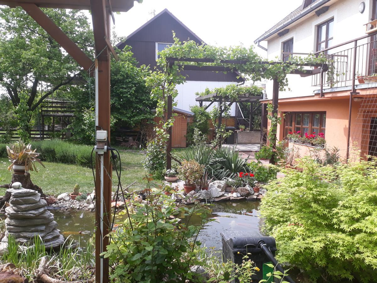 Pension Zeleny Strom Mikulov Bagian luar foto